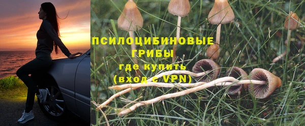 марки nbome Алексеевка