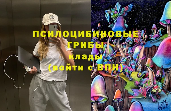 PSILOCYBIN Абдулино
