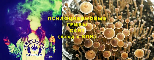 марки nbome Алексеевка