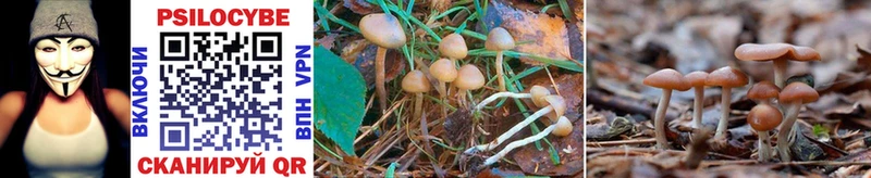 гидра вход  Ермолино  Галлюциногенные грибы Magic Shrooms 